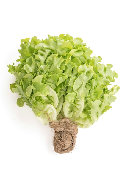 Glavata salata